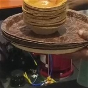 Dona, Thali & Paper Plates