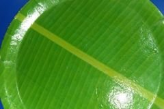 IMG-20180405-WA0012