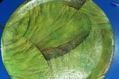 IMG-20180405-WA0013